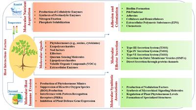 Omics approaches in understanding the benefits of plant-microbe interactions